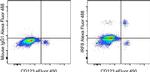 IRF8 Antibody in Flow Cytometry (Flow)