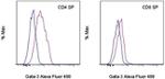 Gata-3 Antibody in Flow Cytometry (Flow)