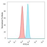 PMS1 Antibody in Flow Cytometry (Flow)