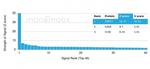 PRMT7 Antibody in Peptide array (ARRAY)