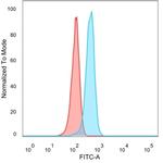 PRMT7 Antibody in Flow Cytometry (Flow)