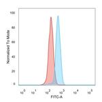 PRMT6 Antibody in Flow Cytometry (Flow)