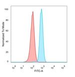 MBNL3 Antibody in Flow Cytometry (Flow)