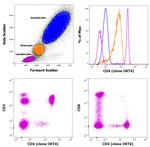 CD4 Antibody