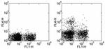 CD11c Antibody in Flow Cytometry (Flow)