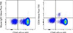 CD34 Antibody in Flow Cytometry (Flow)