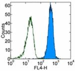 CD45.2 Antibody in Flow Cytometry (Flow)