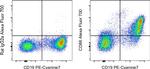 CD86 (B7-2) Antibody in Flow Cytometry (Flow)