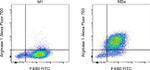 Arginase 1 Antibody in Flow Cytometry (Flow)