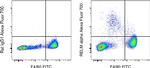 RELM alpha Antibody in Flow Cytometry (Flow)