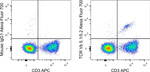 TCR V beta 5.1/5.2 Antibody in Flow Cytometry (Flow)