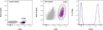 CD25 Antibody