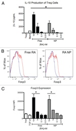 FOXP3 Antibody