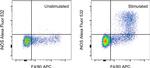 iNOS Antibody in Flow Cytometry (Flow)