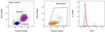 CD4 Antibody