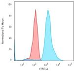 Bax Antibody in Flow Cytometry (Flow)