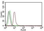 Cyclin D1 (G1-Cyclin and Mantle Cell Marker) Antibody in Flow Cytometry (Flow)