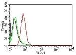 Cyclin D1 (G1-Cyclin and Mantle Cell Marker) Antibody in Flow Cytometry (Flow)