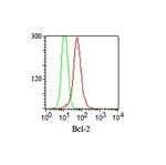 Bcl-2 (Apoptosis and Follicular Lymphoma Marker) Antibody in Immunocytochemistry (ICC/IF)