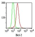 Bcl-2 (Apoptosis and Follicular Lymphoma Marker) Antibody in Immunocytochemistry (ICC/IF)