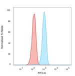 NF-kB p65/RELA Antibody in Flow Cytometry (Flow)