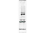 Tlk1 Antibody in Western Blot (WB)