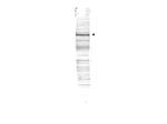 CDC27 Antibody in Western Blot (WB)