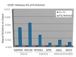 H3K4me2T3ph Antibody in ChIP Assay (ChIP)