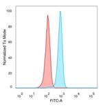 BCL6 Antibody in Flow Cytometry (Flow)