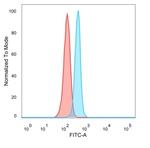 BCL6 Antibody in Flow Cytometry (Flow)