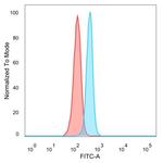 BCL6 Antibody in Flow Cytometry (Flow)