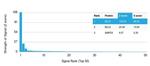 BCL6 Antibody in Peptide array (ARRAY)