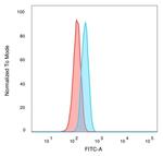 BCL6 Antibody in Flow Cytometry (Flow)