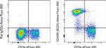 CD45R (B220) Antibody in Flow Cytometry (Flow)