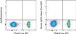 Mouse IgG2b kappa Isotype Control in Flow Cytometry (Flow)