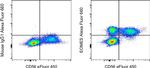 EOMES Antibody in Flow Cytometry (Flow)