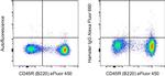 Armenian Hamster IgG Isotype Control in Flow Cytometry (Flow)