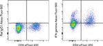 IFN gamma Antibody in Flow Cytometry (Flow)