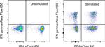 IFN gamma Antibody in Flow Cytometry (Flow)