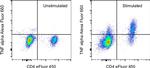 TNF alpha Antibody in Flow Cytometry (Flow)