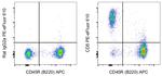 CD5 Antibody in Flow Cytometry (Flow)