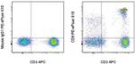 CD8a Antibody in Flow Cytometry (Flow)