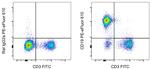 CD19 Antibody in Flow Cytometry (Flow)