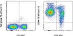 CD44 Antibody in Flow Cytometry (Flow)