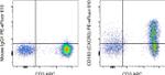 CD183 (CXCR3) Antibody in Flow Cytometry (Flow)