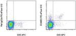 EOMES Antibody in Flow Cytometry (Flow)