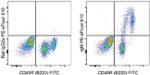 IgM Antibody in Flow Cytometry (Flow)