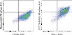 CD275 (B7-H2) Antibody in Flow Cytometry (Flow)