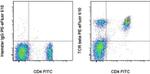 TCR beta Antibody in Flow Cytometry (Flow)