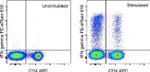 IFN gamma Antibody in Flow Cytometry (Flow)